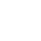 Digital Twin Technology