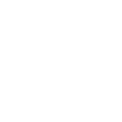 Smart Industrial Park Development