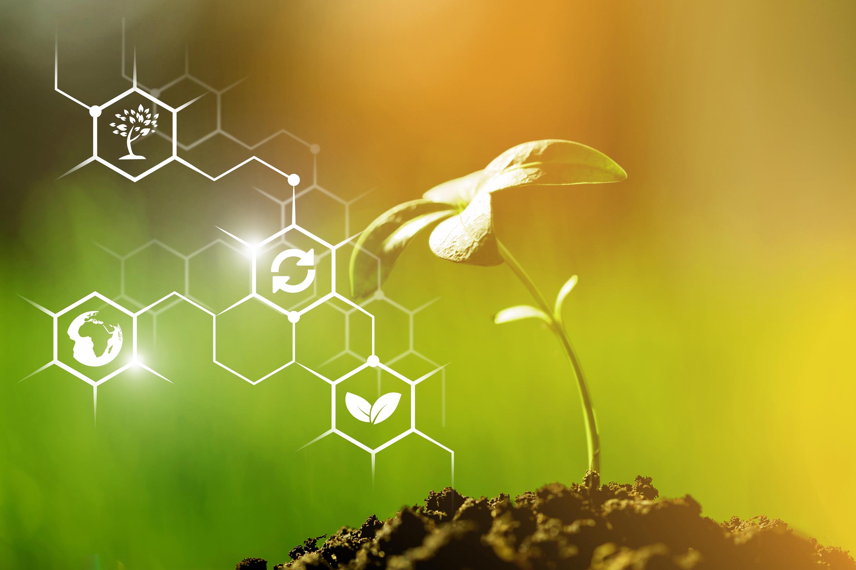 Sustainable Waste Solutions